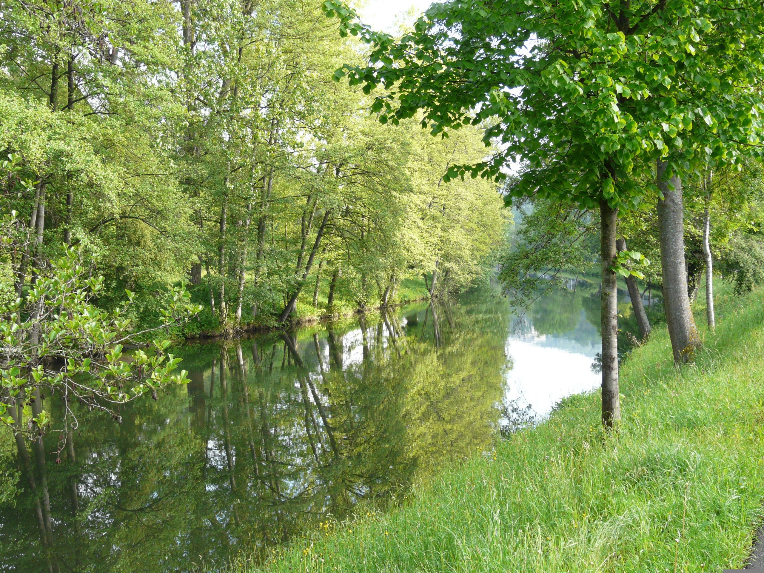 Bauen oder mieten im idyllischen Nagoldtal